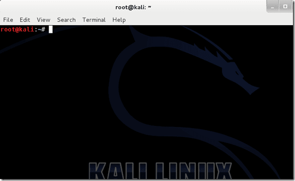Kali Linux Terminal