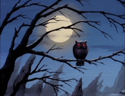 Perched Owl