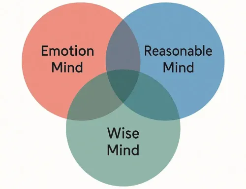 1 Wise Mind in DBT: A Practical Guide to Balanced Decisions (with Tools)